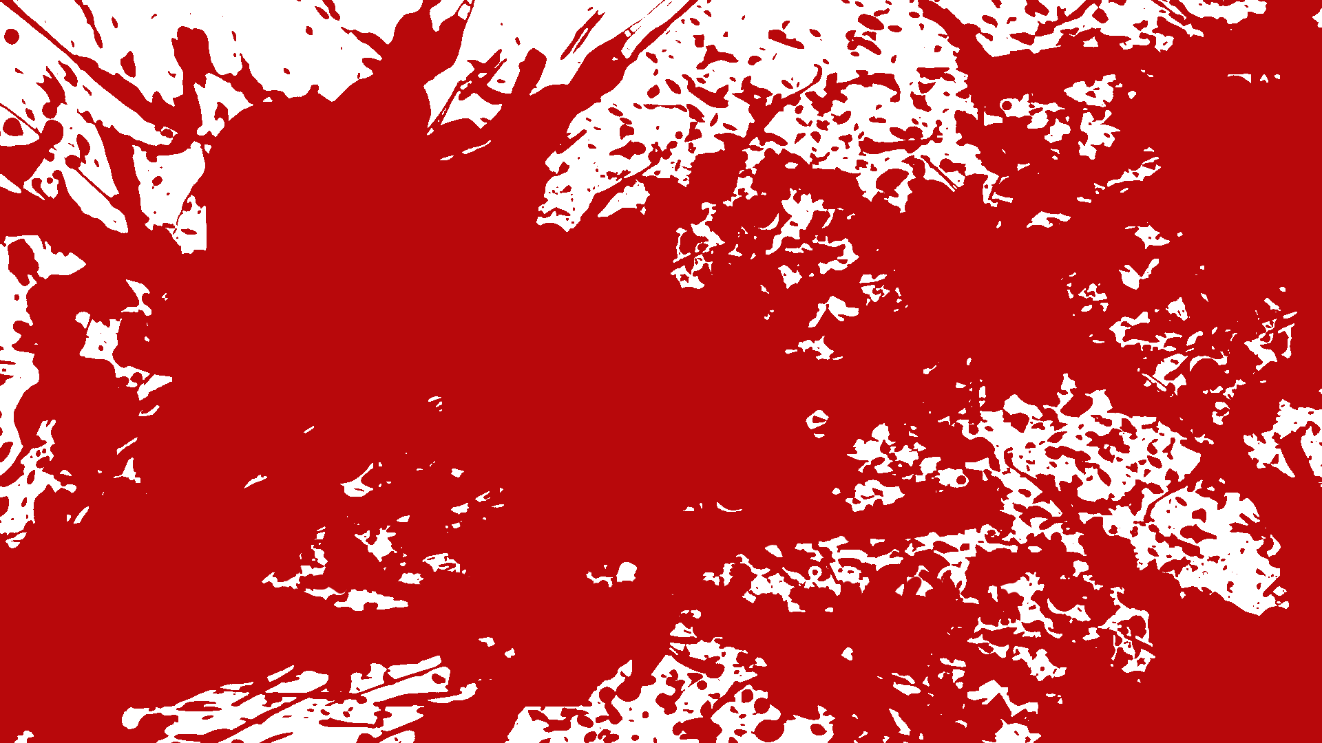 Level 5